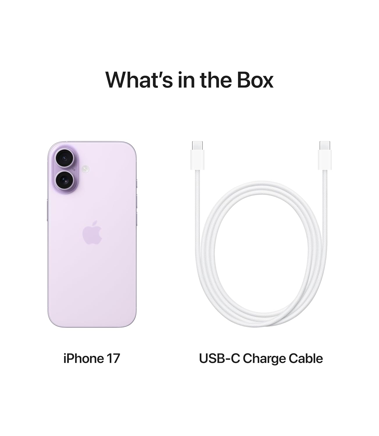 Apple iPhone 17 256 GB 6 3 inch Display with ProMotion A19 Chip Cen